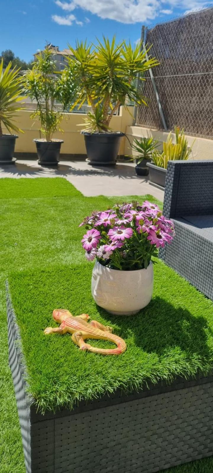La Zenia Sabrina Apartment 5 Орихуела Екстериор снимка